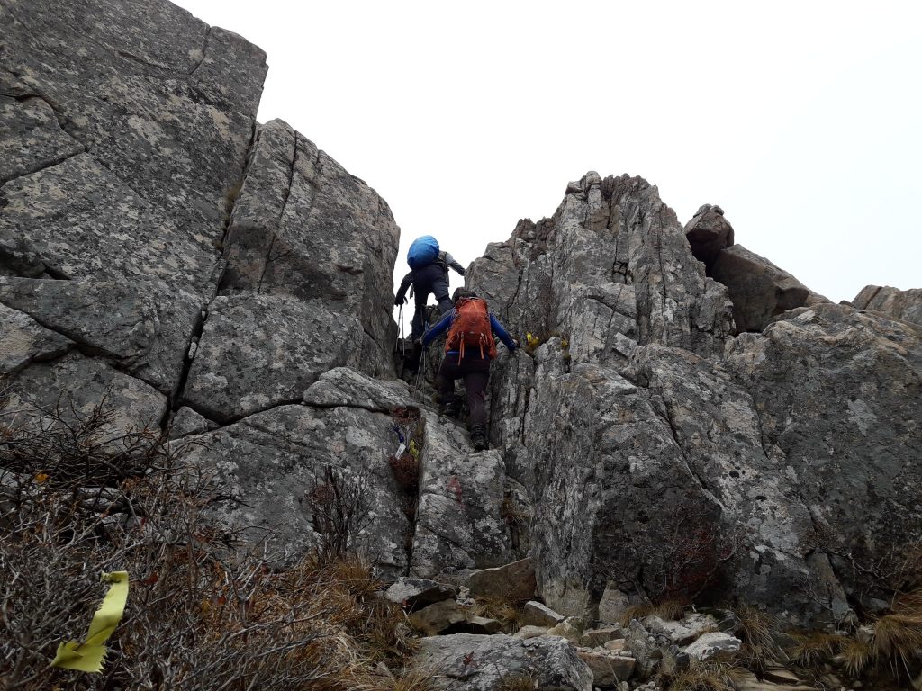 Rock Climbing Tips For Beginners