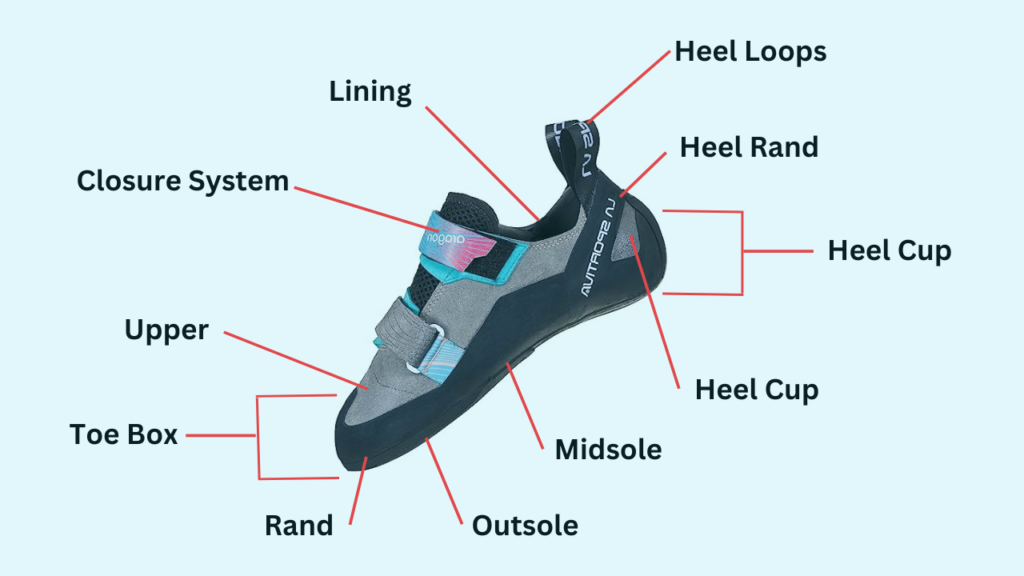 Climbing Shoe Anatomy